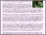 [thumbnail of document2.pdf]